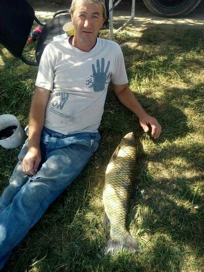  ,   , 52 ,   