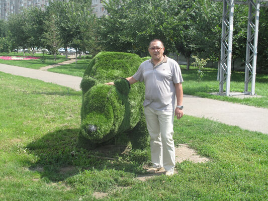  -,   , 55 ,   ,   , c 