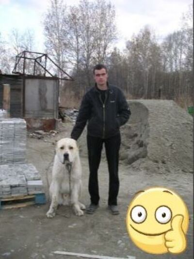  ,   , 44 ,   ,   , c , 
