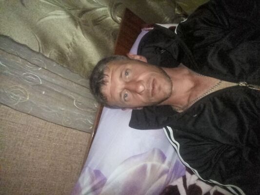  ,   , 41 ,  