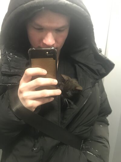  ,    , 22 ,   ,   , c 