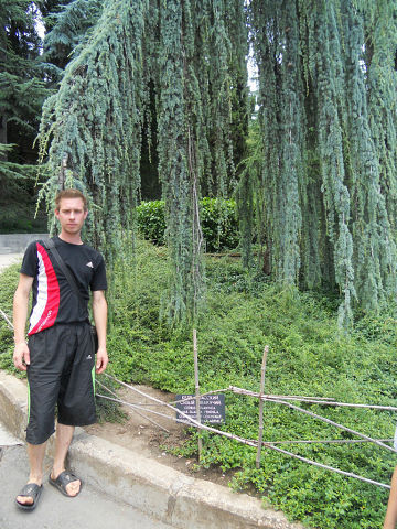 ���������� ���������, ���� ������� �����, 37 ���, ������������ ��� ������, ����� � ���������, c�������� ���������