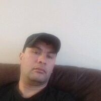  -,   , 43 ,   , 