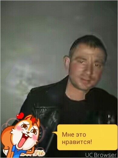  -,   ϸ, 41 ,   , 