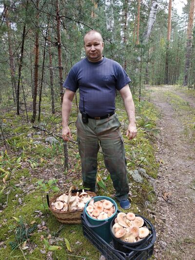  ,   , 46 ,   ,   