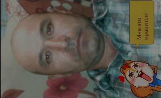  ,   Pulot, 52 ,   ,   , c 