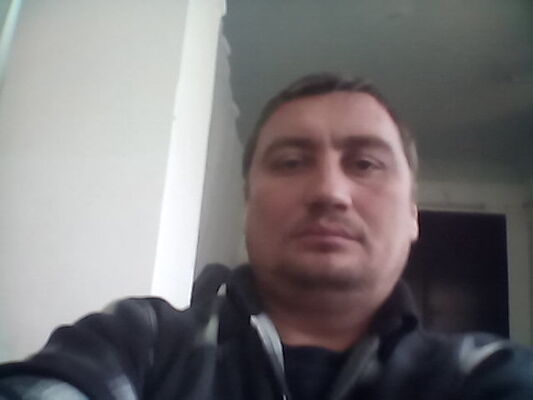  ,   , 41 ,   
