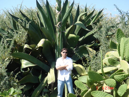 Cascais,   Chirik, 52 ,   