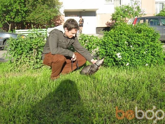  3173766  , 44 ,    -