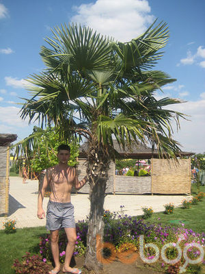  ,   Dima, 40 ,   