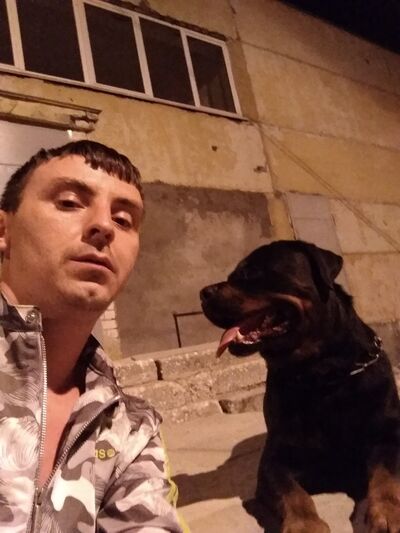  ,   , 38 ,   
