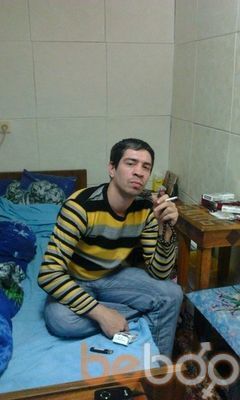  --,   , 43 ,   