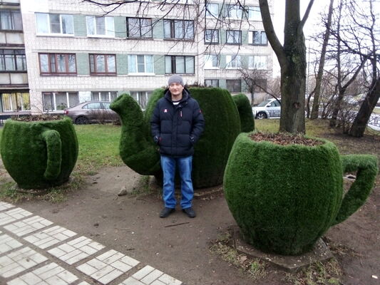  -,   , 40 ,   ,   , c 
