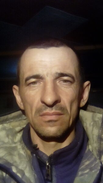  ,   , 46 ,  