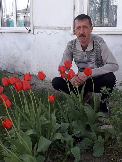 ,   , 62 ,   ,   