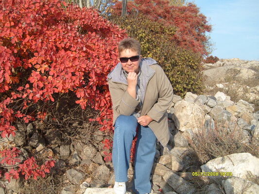  ٸ,   , 56 ,   ,   , c 