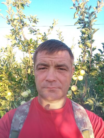  -,    , 43 ,   c 
