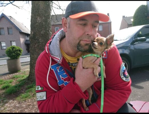  ,   , 54 ,   ,   , c , 