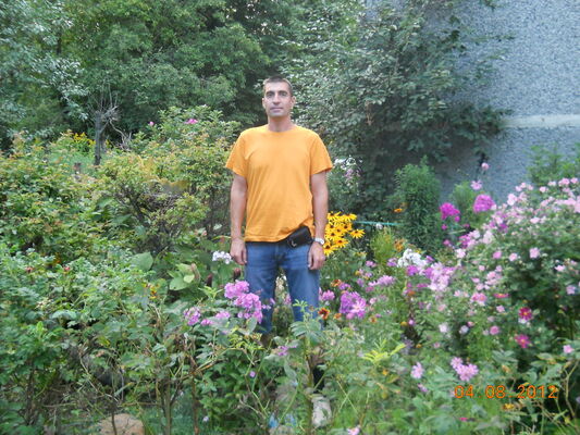  ,   , 53 ,  