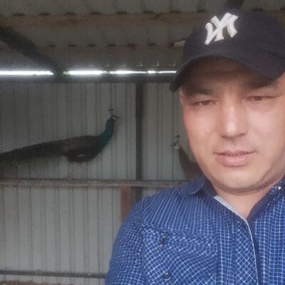  ,   , 41 ,   ,   