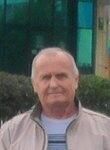  ,   , 65 ,   