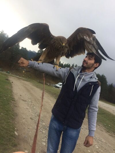  ,   , 32 ,  