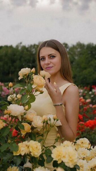  --,   , 33 ,   ,   