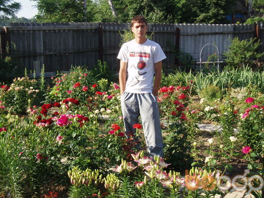 ���������� �������, ���� ������� ���������, 41 ���, ������������ ��� ������