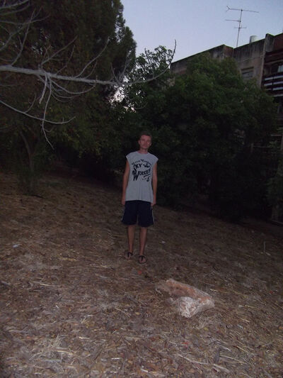  Karmi'el,   David, 40 ,     , c 