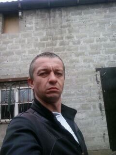  ,   , 41 ,   ,   , c 