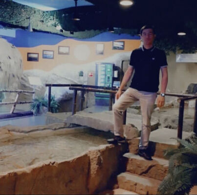  ,   , 34 ,   ,   