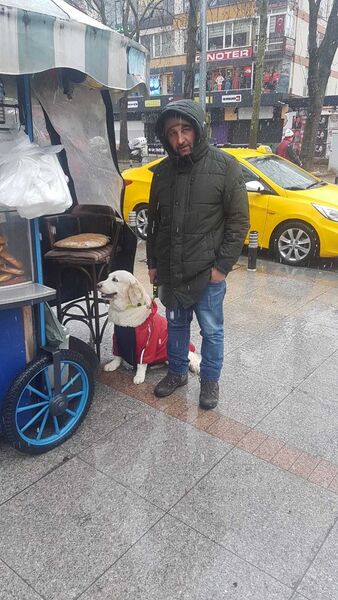  Esenyurt,   Olgun, 44 ,   ,   , c 