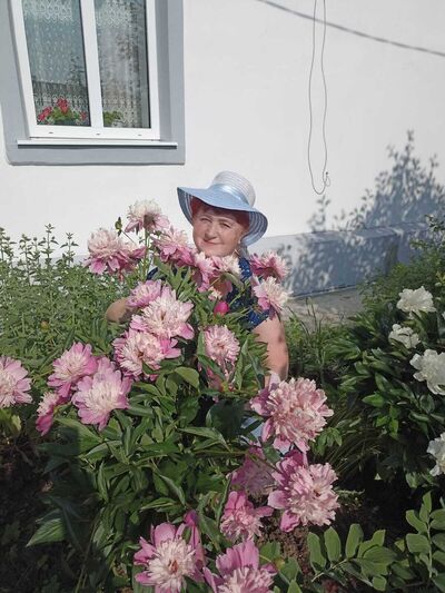  ,   , 68 ,     , c , 