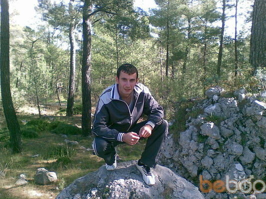  ,   ANSAR, 41 ,   ,   , c 
