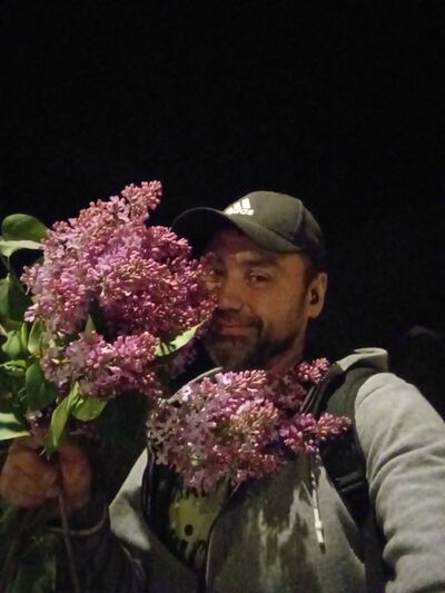  ,   , 43 ,     