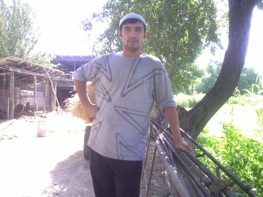  -,   , 48 ,  