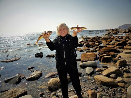  ,   Alisa, 60 ,     , c 