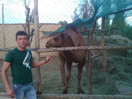  ,   Shaxzod, 30 ,   ,   , c 