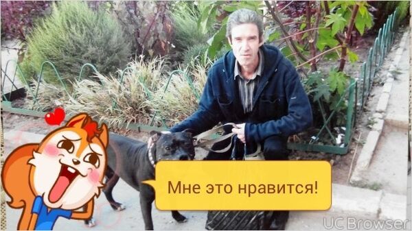  ,   , 62 ,   ,   , c 
