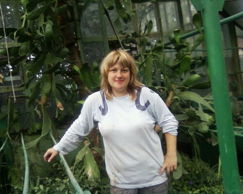  ,   , 40 ,   