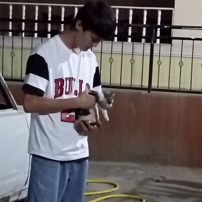  ,   Ali, 21 ,   ,   