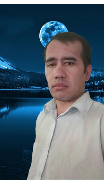  -,   , 41 ,   ,   
