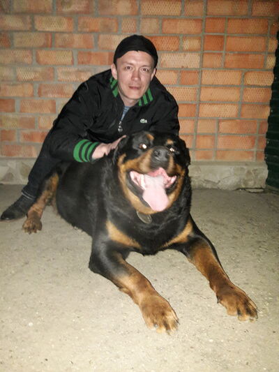  ,   , 41 ,   ,   , c 