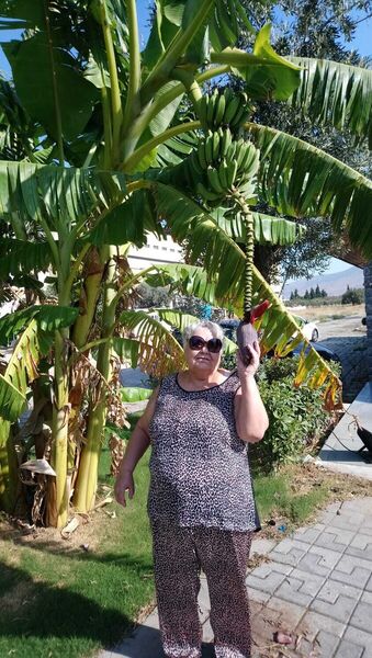  ,   , 78 ,   ,   , c 