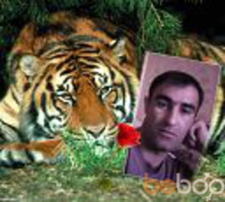  ,   Zaur, 41 ,   