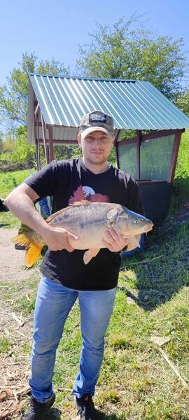  ,   Sergey, 31 ,   ,   