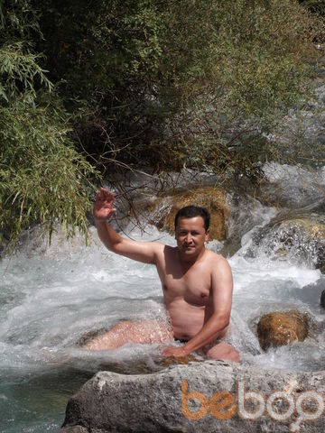  ,   Xfb, 50 ,  