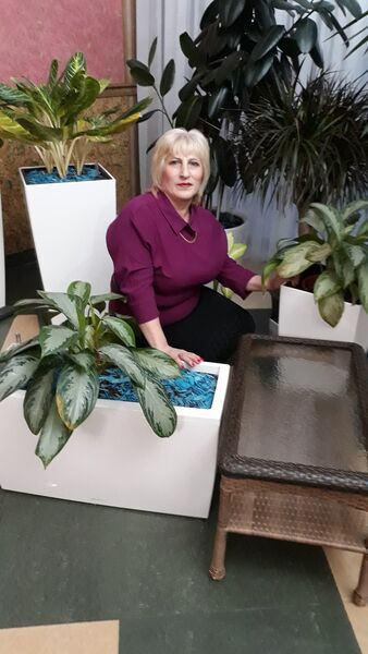  ,   , 56 ,   ,   