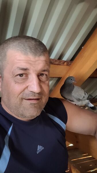 -,   , 45 ,   ,   