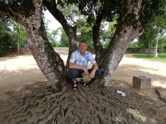 ,   , 51 ,   